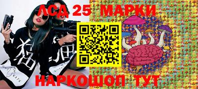 PSILOCYBIN Гатчина