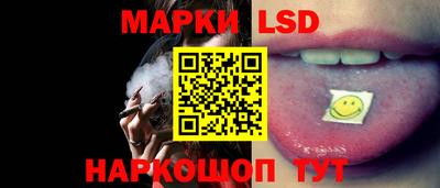 PSILOCYBIN Гатчина