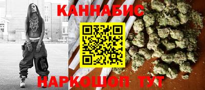 PSILOCYBIN Гатчина
