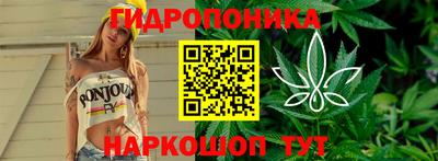PSILOCYBIN Гатчина