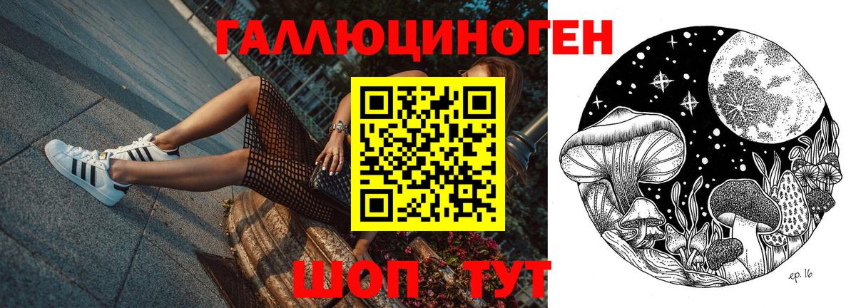 Псилоцибиновые грибы MAGIC MUSHROOMS Раменское