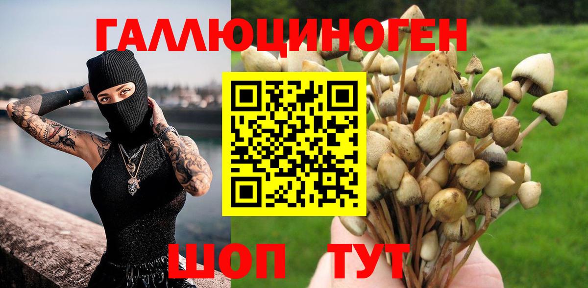 Раменское  Галлюциногенные грибы Psilocybe  Вход с VPN 